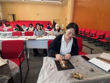1761210989997295.jpg 图片4.jpg